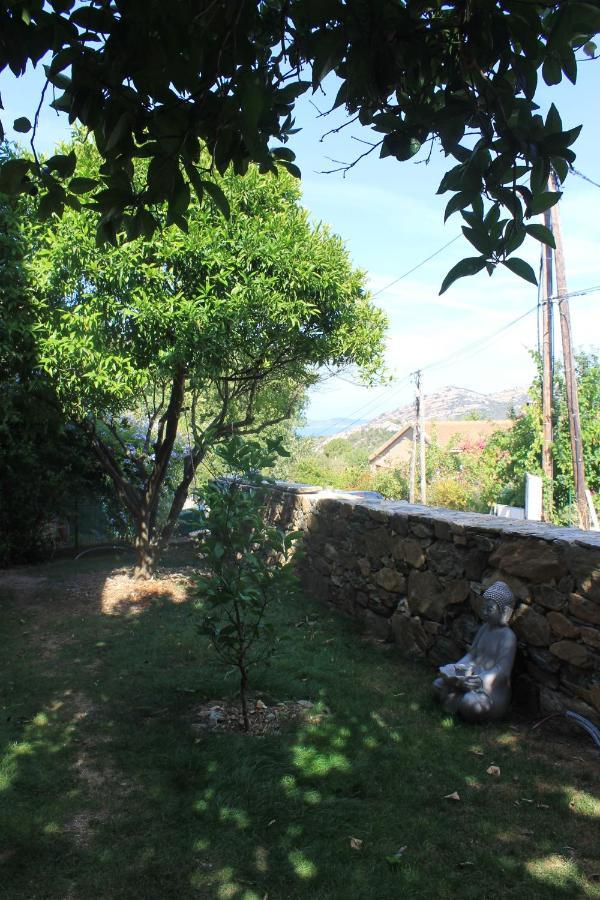 Barbaggio Studio Zen מראה חיצוני תמונה